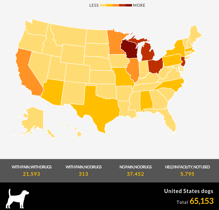 Which States Use The Most Dogs in Testing?