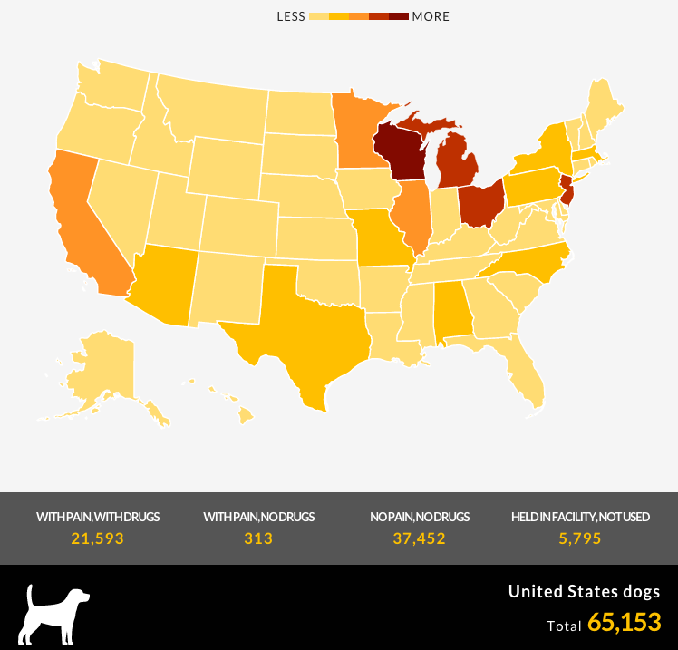  ¿Qué Estados Usan Más Perros en las Pruebas?