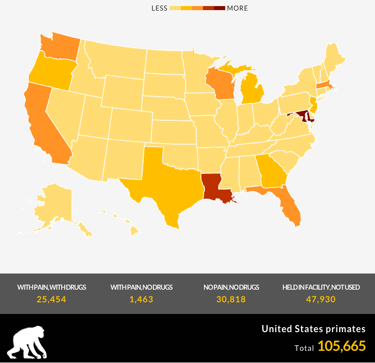 Which States Use the Most Primates in Testing?