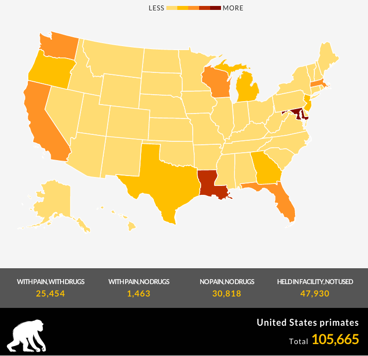  ¿Qué Estados Usan Más Primates en las Pruebas?