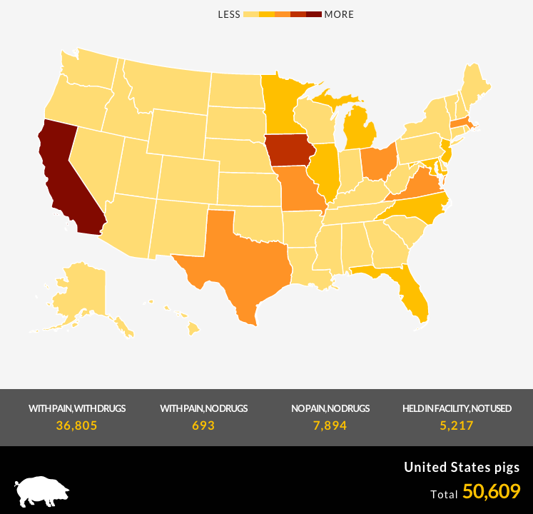 Pigs in Testing - By State