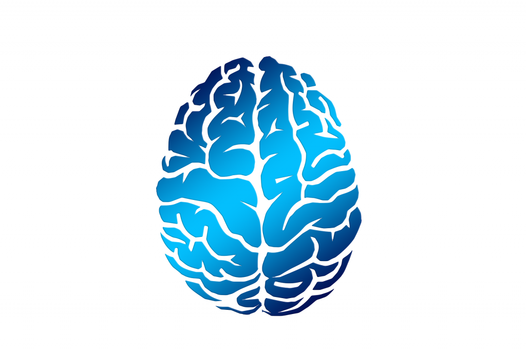 blue brain
