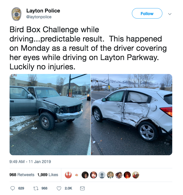 Bird Box Challenge Car Accident