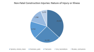 pie chart on non-fatal construction injuries by nature of injury or illness