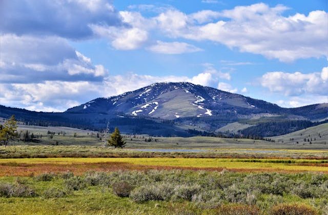 background of Bozeman, Montana