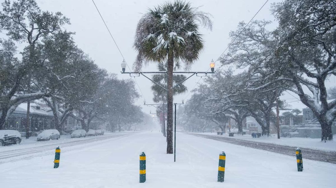 A Louisiana roadway covered in snow, with palm trees and cars lining the street during heavy snowfall.